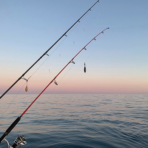 Journée Pêche en mer 17 mai