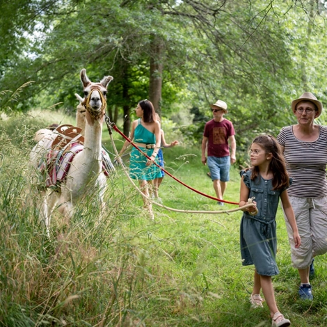 Randonnées avec Lamas 18 mai