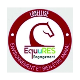 Initiation équitation 4 octobre