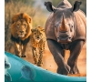 Safari et bivouac à Planète Sauvage 1ier et 2 novembre