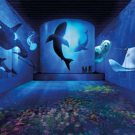 Bassins des Lumières et Cité du Vin