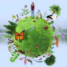 Visite d’un jardin en biodiversité 13 juin