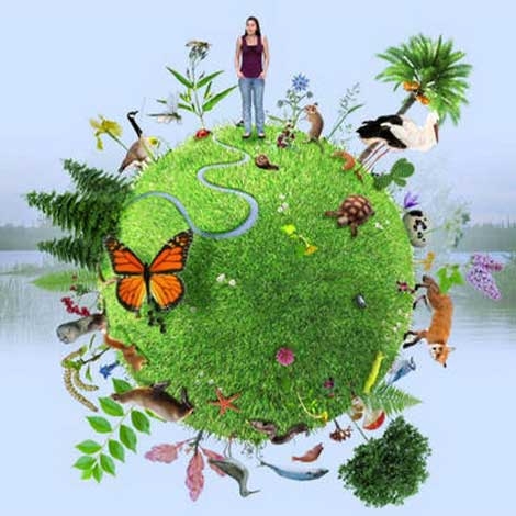 Visite d’un jardin en biodiversité 13 juin